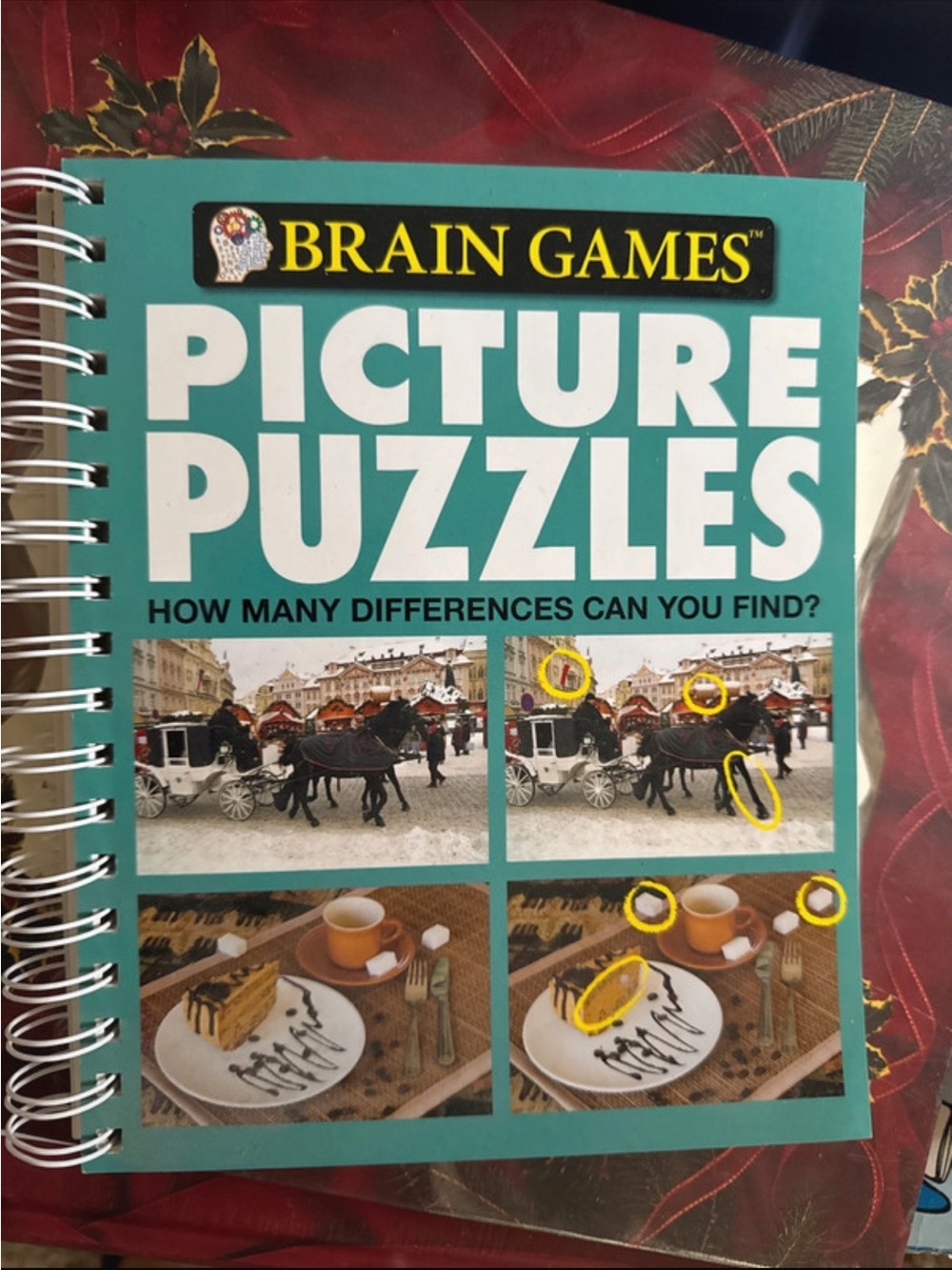Picture Puzzles Activity Book - Teal